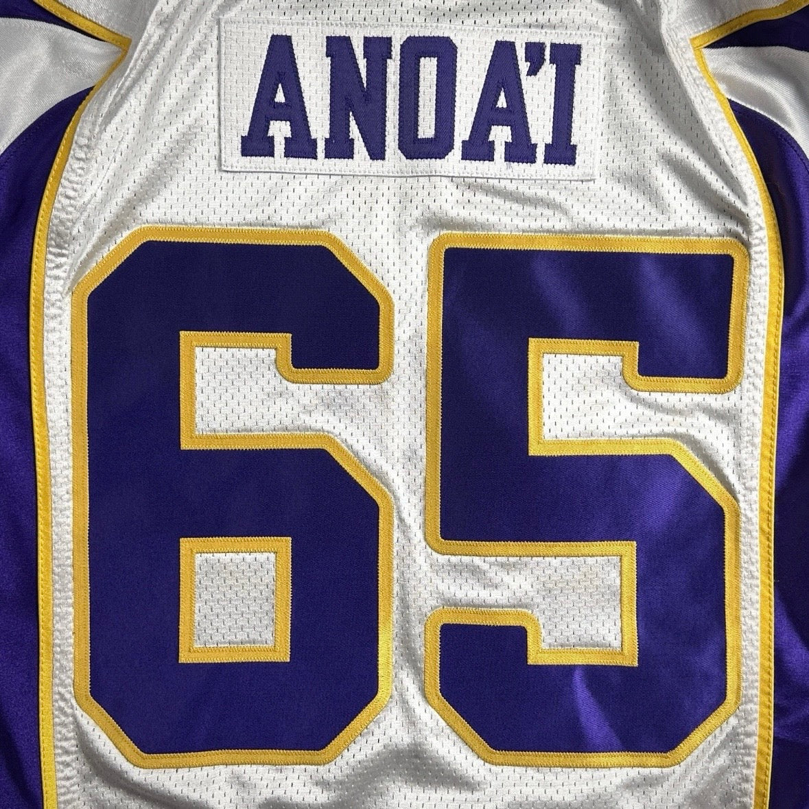 2007 Reebok NFL Team Issued Jersey Minnesota Vikings Joe Anoa’i Roman Reigns WWE Sz. 48