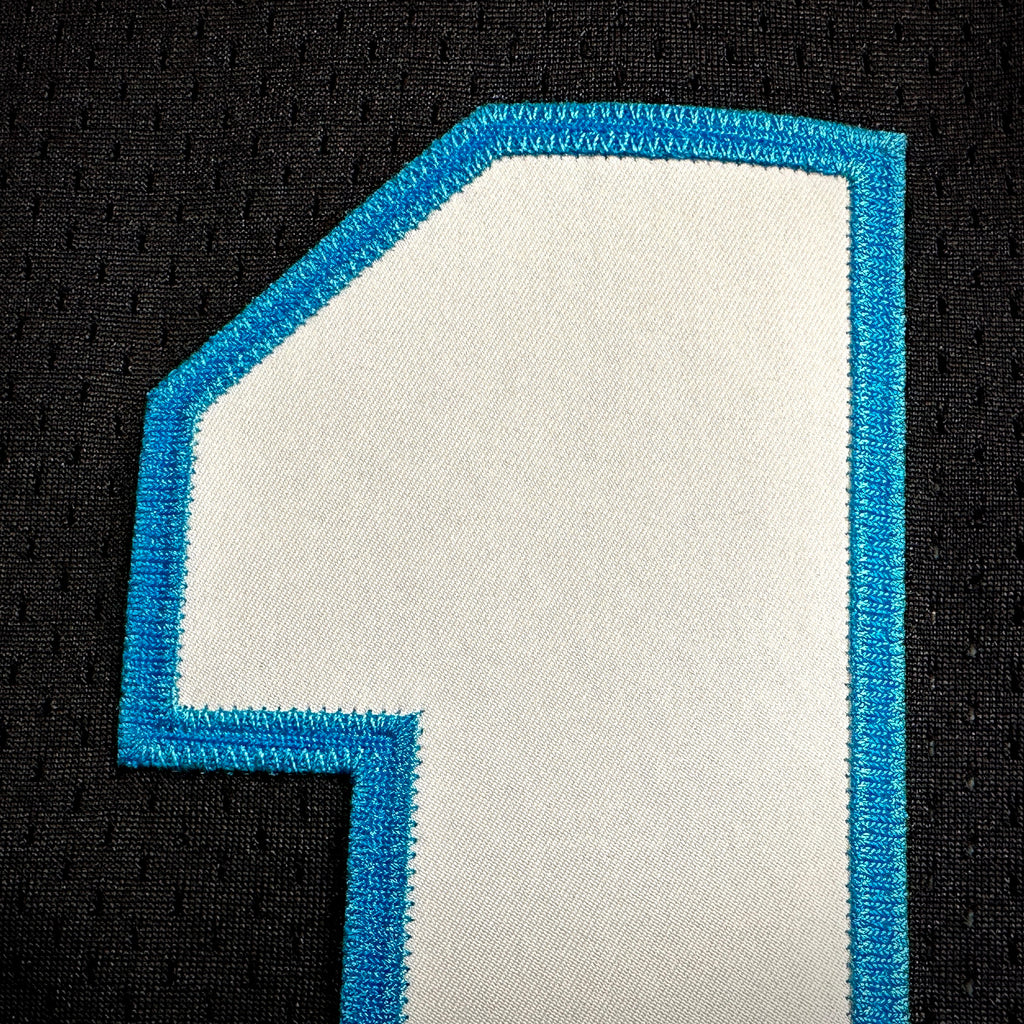 2018 Nike NFL Elite Authentic Jersey Carolina Panthers Cam Newton Sz. 40 MVP