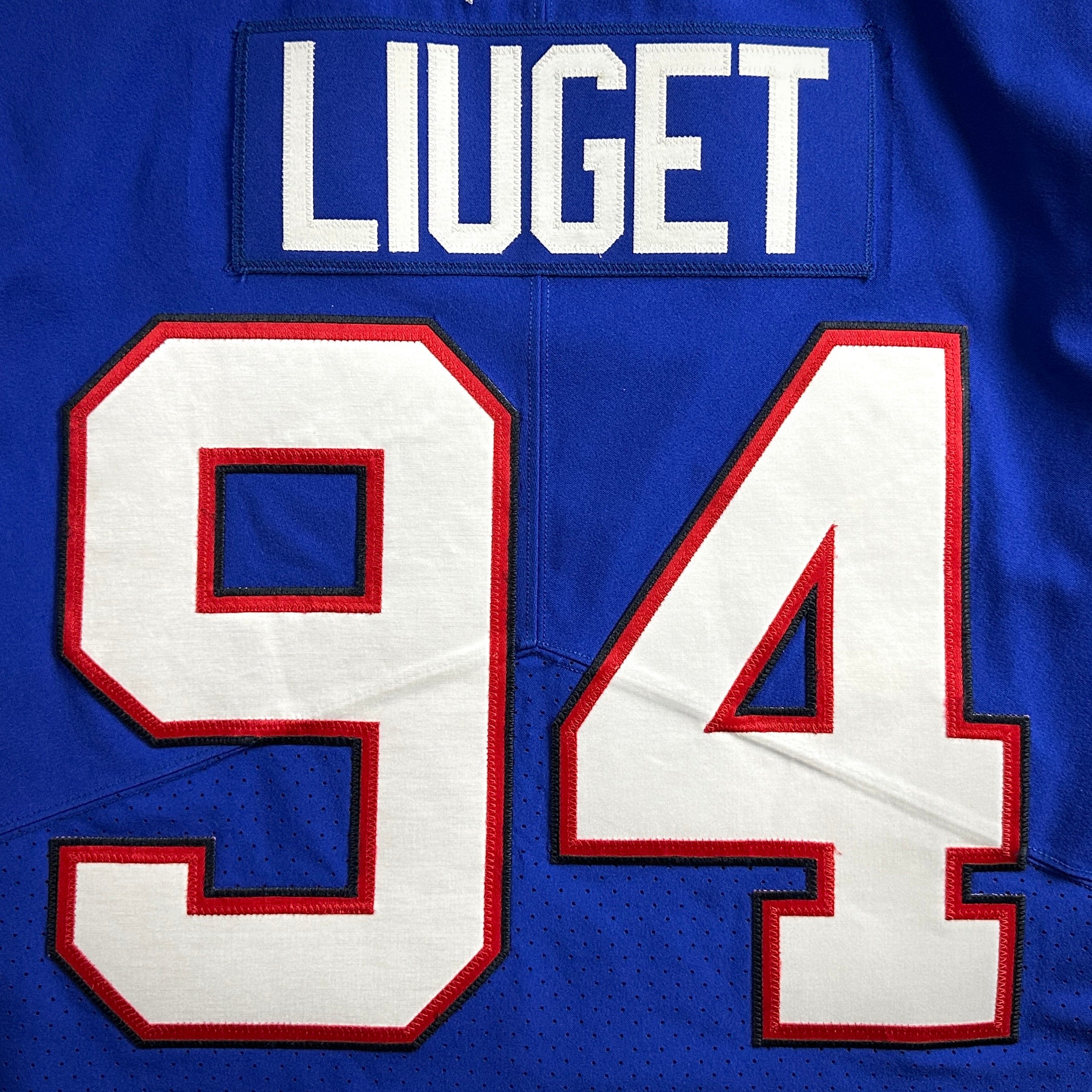 2019 Nike NFL Game-Used Jersey Buffalo Bills Corey Liuget Sz. 44 Team COA