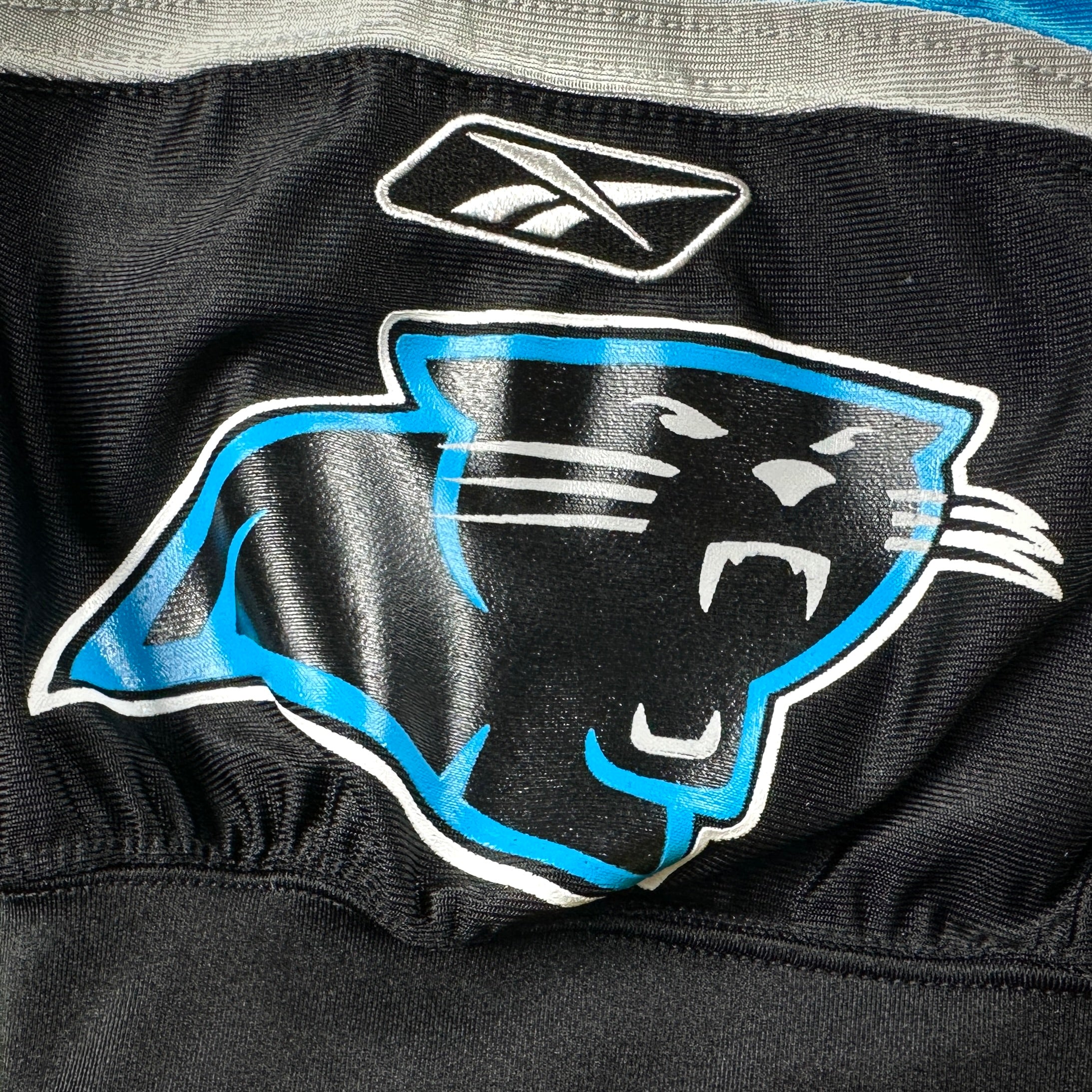 2004 Reebok NFL Team-Issued Game Jersey Carolina Panthers Todd Sauerbrun Sz. 46 Autograph PSA