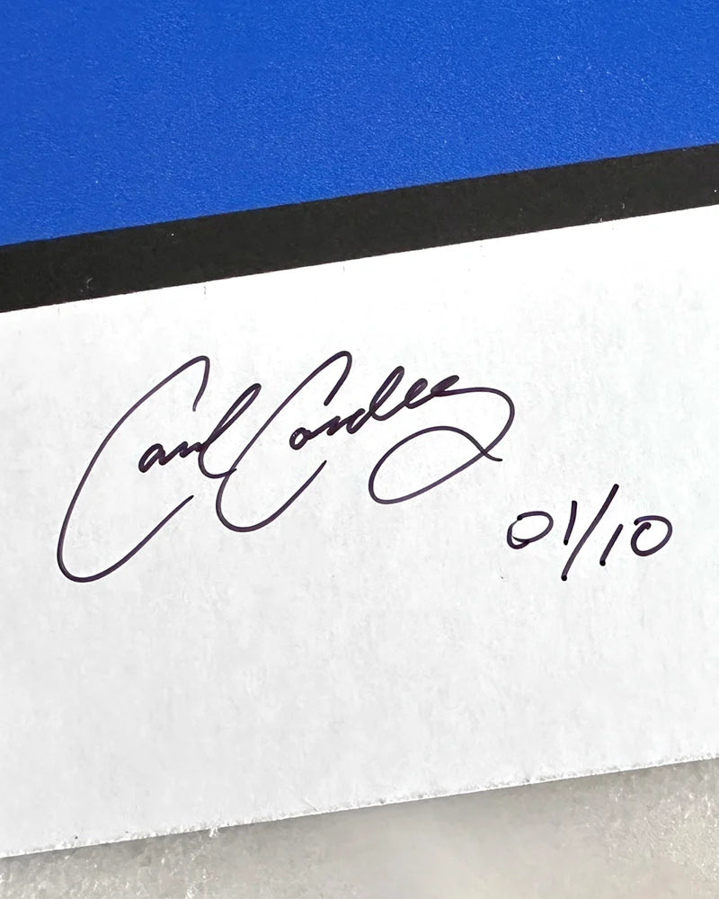 Marv Levy Autographed Print