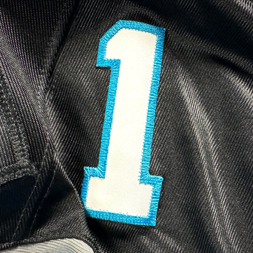 2018 Nike NFL Elite Authentic Jersey Carolina Panthers Cam Newton Sz. 44 MVP
