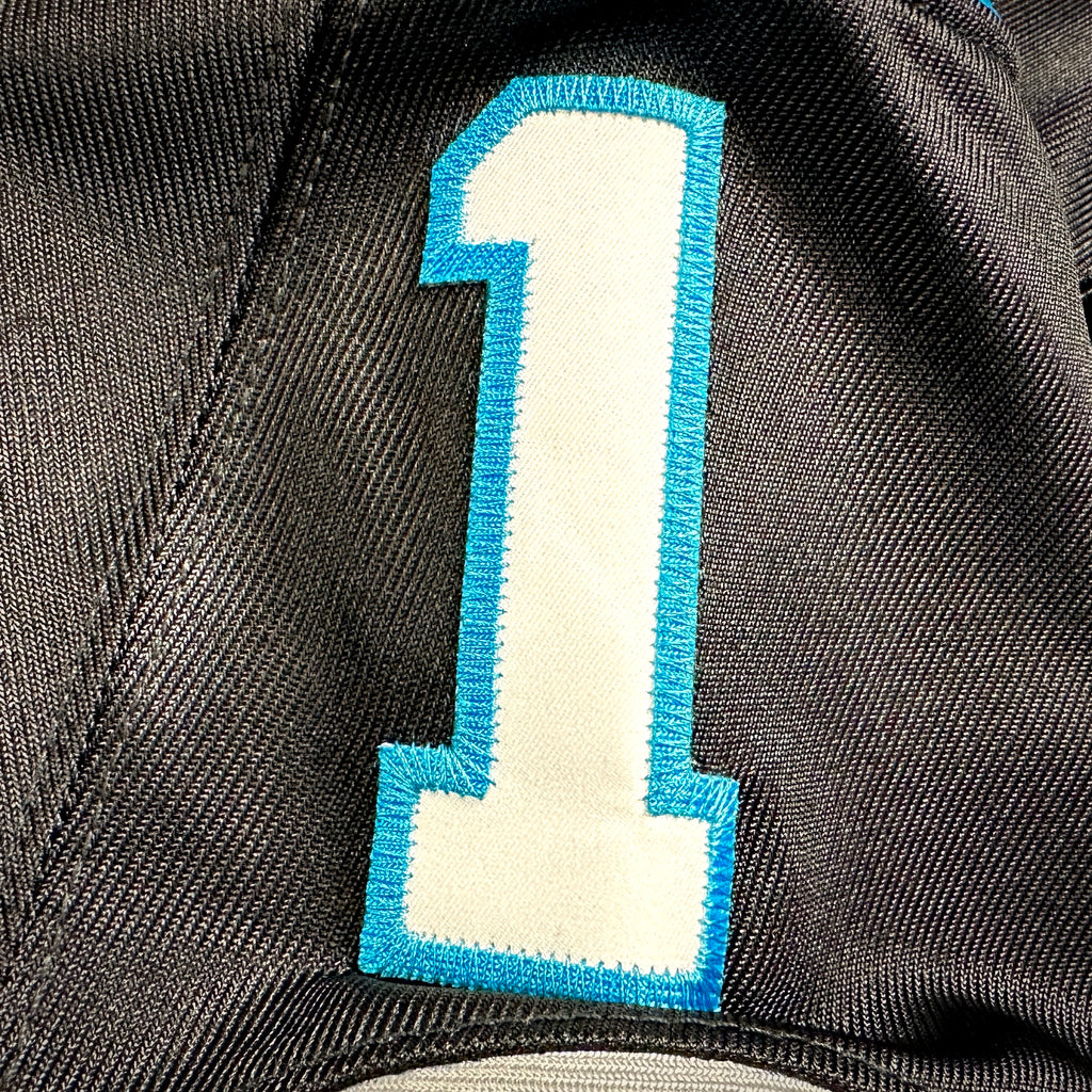 2018 Nike NFL Elite Authentic Jersey Carolina Panthers Cam Newton Sz. 40 MVP