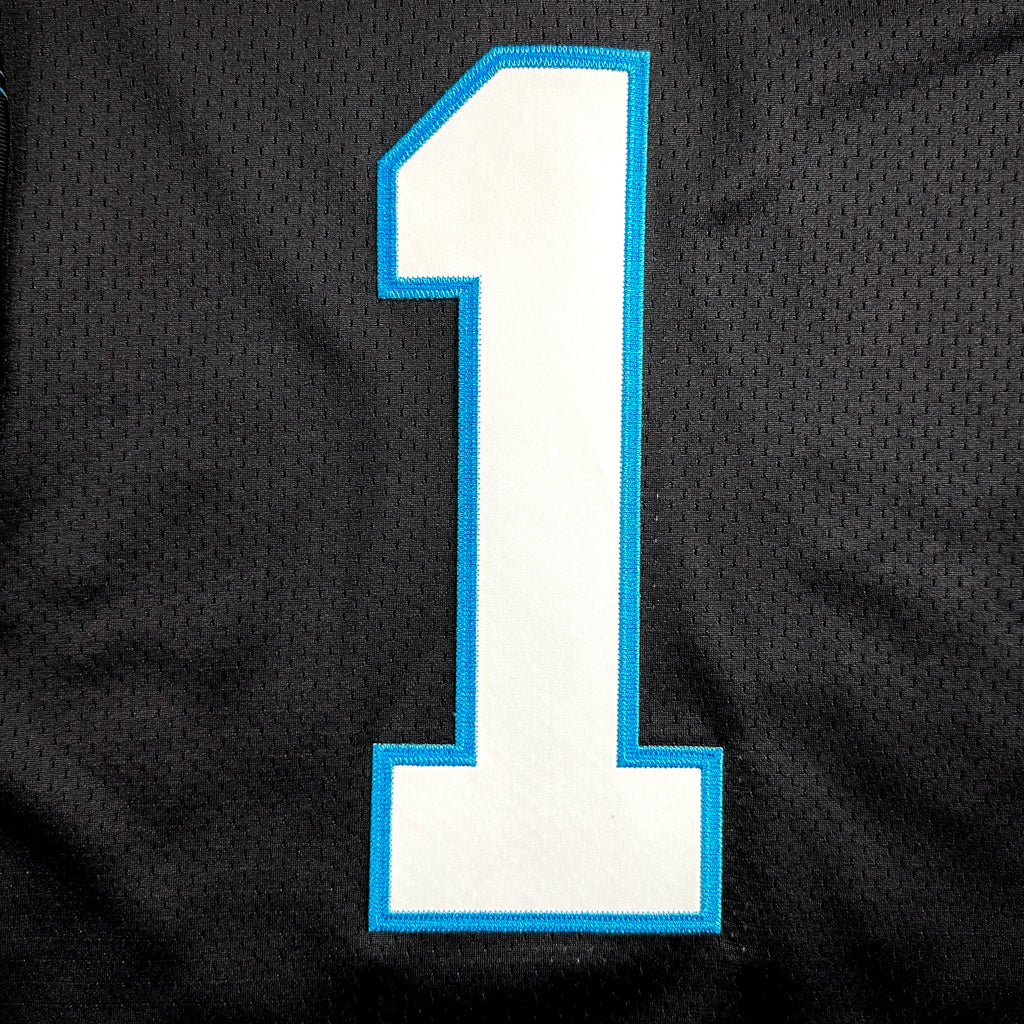 2018 Nike NFL Elite Authentic Jersey Carolina Panthers Cam Newton Sz. 40 MVP