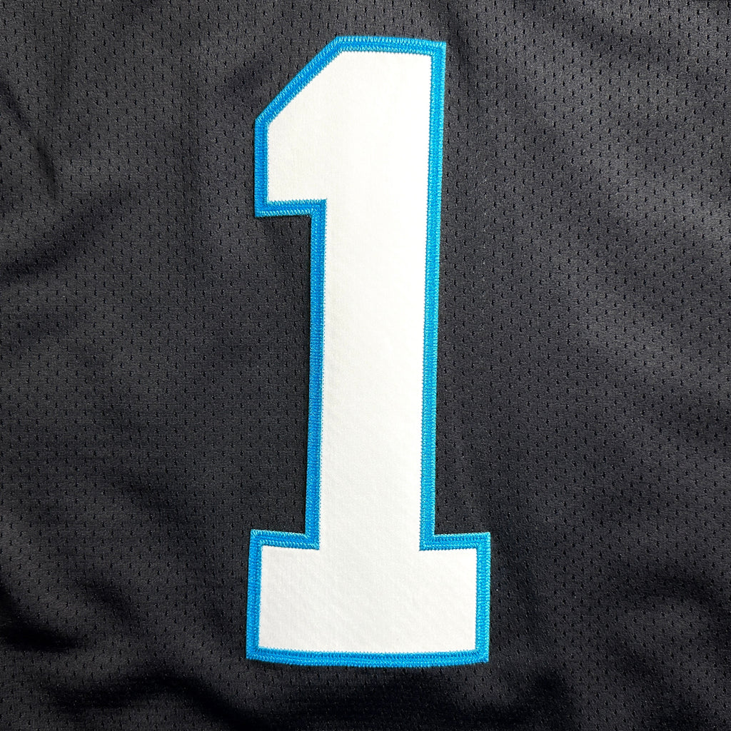 2018 Nike NFL Elite Authentic Jersey Carolina Panthers Cam Newton Sz. 44 MVP