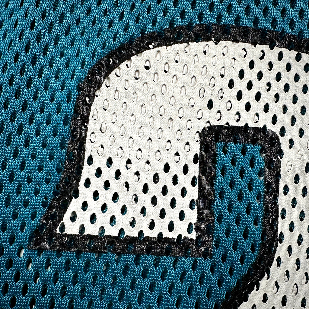 2006 Reebok NFL Game-Used Practice Jersey Jacksonville Jaguars Fred Taylor Sz. 46 Hit Marks