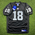 New! 2006 NFL Authentic Jersey Oakland Raiders Randy Moss Sz. 48 Vintage NWT